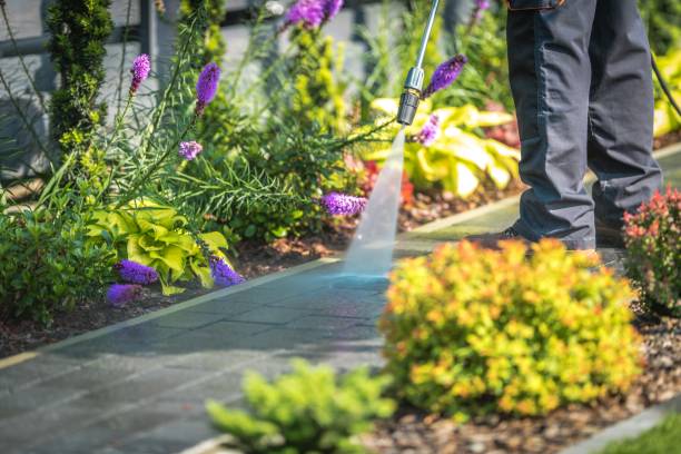 Best Parking Lot and Garage Cleaning  in Santa Ana, CA